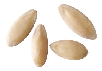 Obraz premium cucumber seeds macro