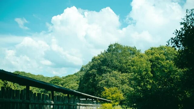 【夏】入道雲が浮かぶ田舎の森林　夏休み	