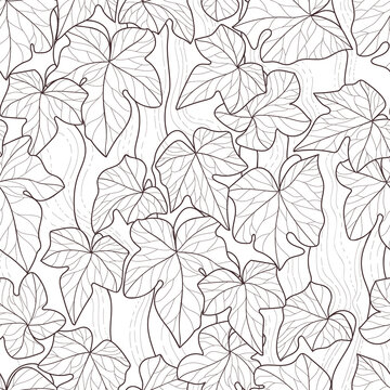 Vector seamless pattern of ivy leaves. Suitable for backgrounds, wallpapers, textiles, fabrics