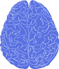 brain vector lobe illustration