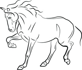 horse vector illustration black ink outline silhouette