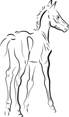 horse vector illustration black ink outline silhouette