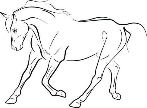 horse vector illustration black ink outline silhouette