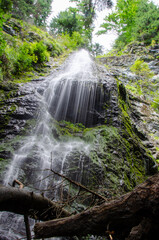 waterfall in the forest