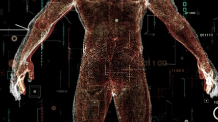 Digital binary code background and Virtual human body. Fly through abstract 3D rendering of a scientific technology data binary code network conveying connectivity, - Powered by Adobe