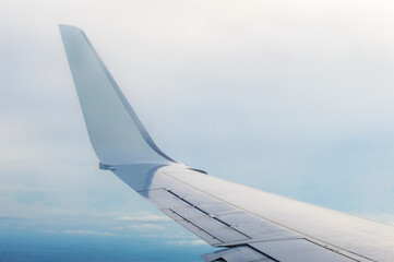 wing of an airplane. 