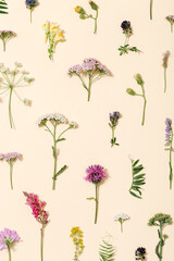 Varied forest grass and meadow flowers as stylish botanical background Flat lay flowery pattern