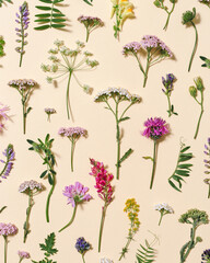 Varied forest grass and meadow flowers as stylish botanical background Flat lay flowery pattern