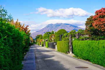 整然としたかつての武家屋敷街　仲町伝統的建造物群保存地区（青森県弘前市）