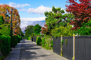 整然としたかつての武家屋敷街　仲町伝統的建造物群保存地区（青森県弘前市）