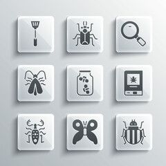 Set Butterfly, Colorado beetle, Book about insect, Fireflies bugs jar, Beetle deer, Clothes moth, Fly swatter and Magnifying glass icon. Vector