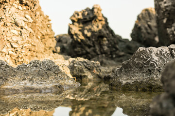 Stone in sea with wave on sunset