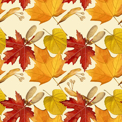 Pattern on the theme of autumn and nature: yellow and red leaves, seeds of forest trees. Autumn background, pattern for fabric. - 454903929