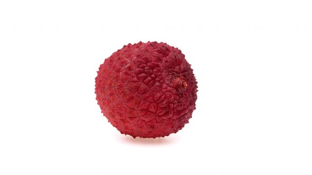 One lychee fruit is rotating. Isolated on white background.