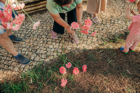 Mature Woman Picking Up Scattered Flowers From. Family With Little Child Walking Outdoors. Family And Summer Concept.