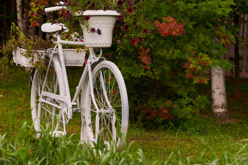 A white antique bicycle decorated with fresh flowers stands next to a red rowan bush. Beginning of autumn. Selective focus.