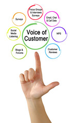 How to hear  Voice of Customer