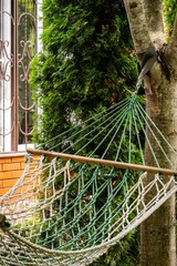 Life Hack. Hammock between trees against background of evergreens. In background is country house. Close-up of attaching hammock to tree. Evergreen garden. Atmosphere of calm and relaxation.