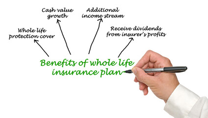 Benefits of whole life insurance plan