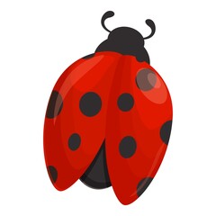 Obraz premium Spring ladybird icon cartoon vector. Ladybug insect. Summer beetle