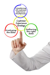 Components of Customer Experience Strategy