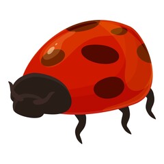 Fototapeta premium Small ladybug icon cartoon vector. Bug ladybird. Fly insect