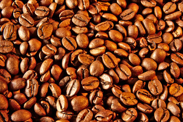 Brown beans of aromatic roasted coffee.