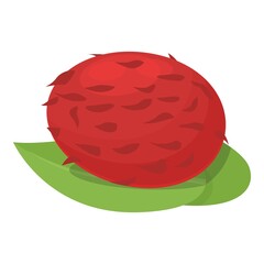 Leaf rambutan icon cartoon vector. Tropical fruit. Fresh rambutan