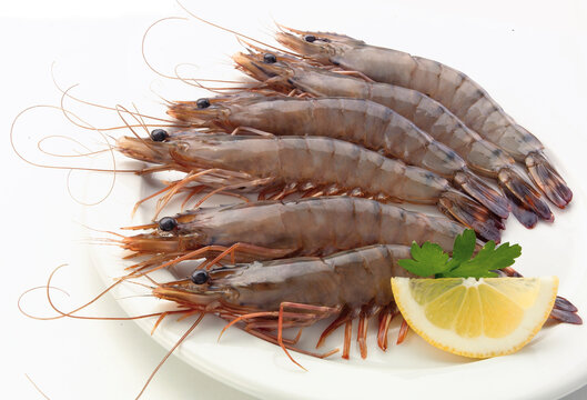 Gambon Fresco crudo  con perejil y lim&oacute;n. Fresh raw prawn with parsley and lemon.