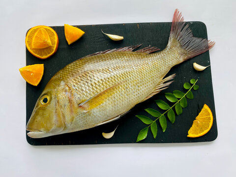 Fresh Emperor Fish decorated with herbs and vegetables on a black pad.White Background.