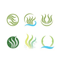 seaweed icon vector illustration design template