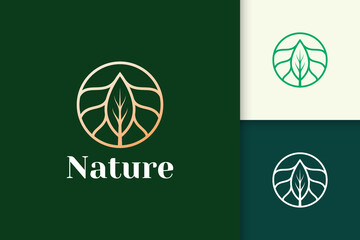 Luxury flower logo with circle and leaf shape for health and beauty