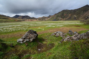 Fototapeta na wymiar Iceland nature