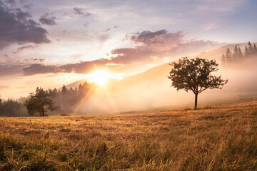 Beautiful sunset on a misty meadow with mountains in the background. Landscape scene from nature, Moravian-Silesian Beskids, Czech Republic