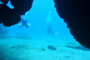 奄美大島 洞窟
2108 7830