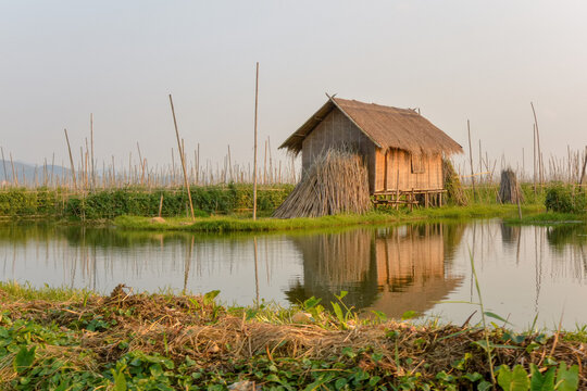 Floating gardens in Inle Lake, Myanmar