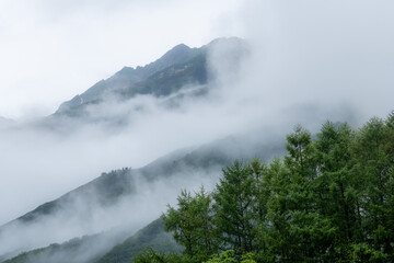 曇りの日の山