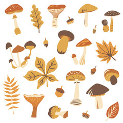 Autumn vector elements. Autumn hand drawn collection of forest objects. Leaves, mushrooms,  acorns vector illustration. Isolated on a white.
