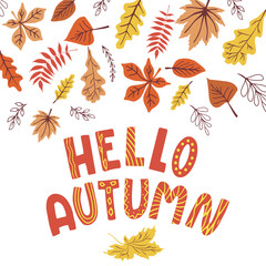 Fall season. Set of autumn leaves with qoute Hello Autumn. Greeting card. Poster with lettering and floral elements. Seasonal banner.