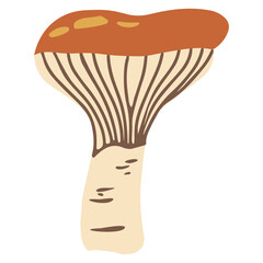 Orange russula mushroom vector illustration. Autumn symbol. Organic food icon. Isolated on a white background. - obrazy, fototapety, plakaty