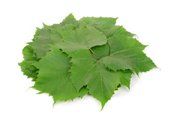 Pile of fresh grapes leaves
