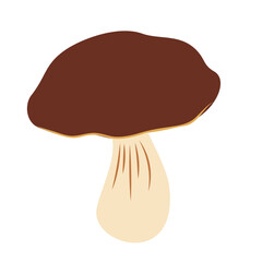 Porcini white edible mushroom  vector illustration. Isolated on a white background.