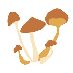 Honey mushroom vector image autumn symbol. Isolated on a white background.