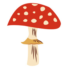 Fly agaric mushrooms on a white background. Poisonous forest mushroom. Isolated vector illustration on a white.