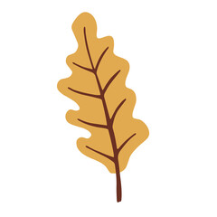 Yellow oak leaf. Isolated on a white background. Autumn symbol.