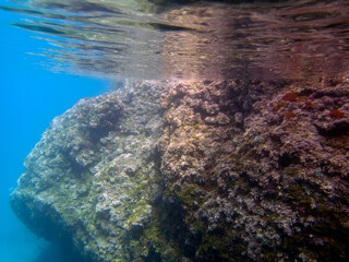 Obraz premium Fondale marino Sant'Alessio Siculo - 184