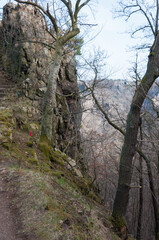 Wanderweg im Harz nahe Quedlinburg. Kühle herbstliche Stimmung
