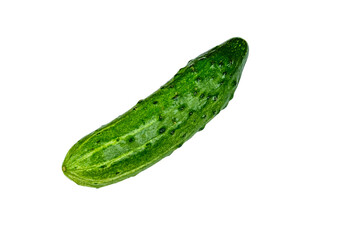 Ripe cucumber isolated on the white background
