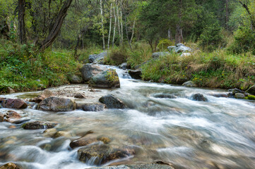Obraz premium mountain river in the forest