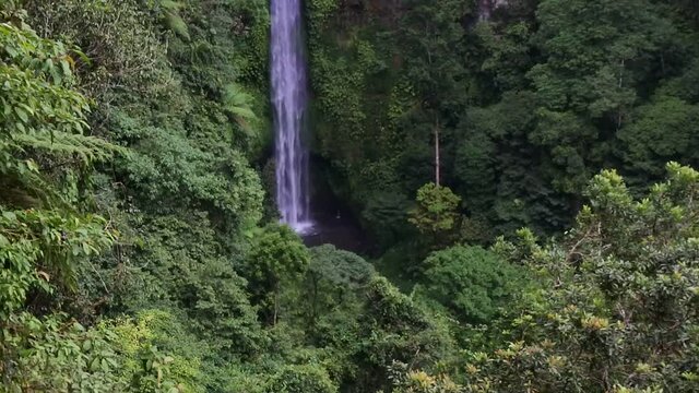the beauty of a hidden waterfall in the Buleleng forest, Bali
